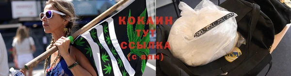 spice Алексин