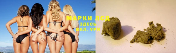 амф Новозыбков