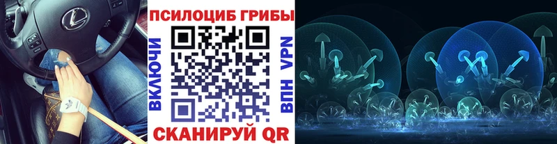 Галлюциногенные грибы MAGIC MUSHROOMS  KRAKEN зеркало  Оленегорск 